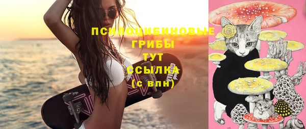 не бодяженный Краснотурьинск