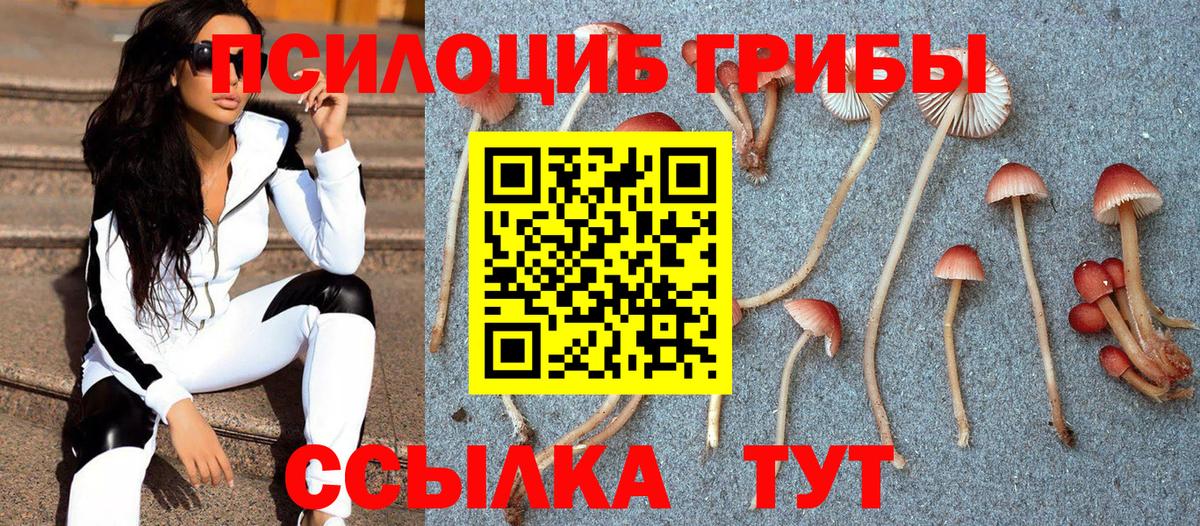 Псилоцибиновые грибы GOLDEN TEACHER  Вход с VPN  Магадан  Псилоцибиновые грибы мицелий 