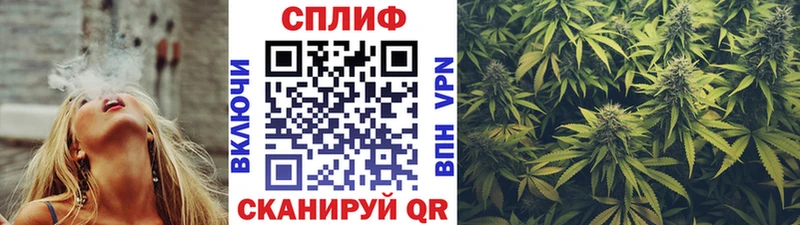 Марихуана MAZAR  даркнет какой сайт  Магадан  продажа наркотиков  omg онион 